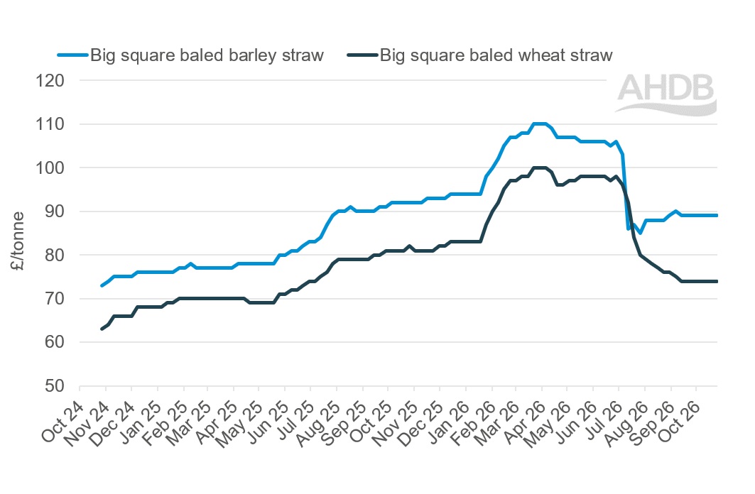 A line graph showing GB big bale straw weekly prices 25 October 2026.